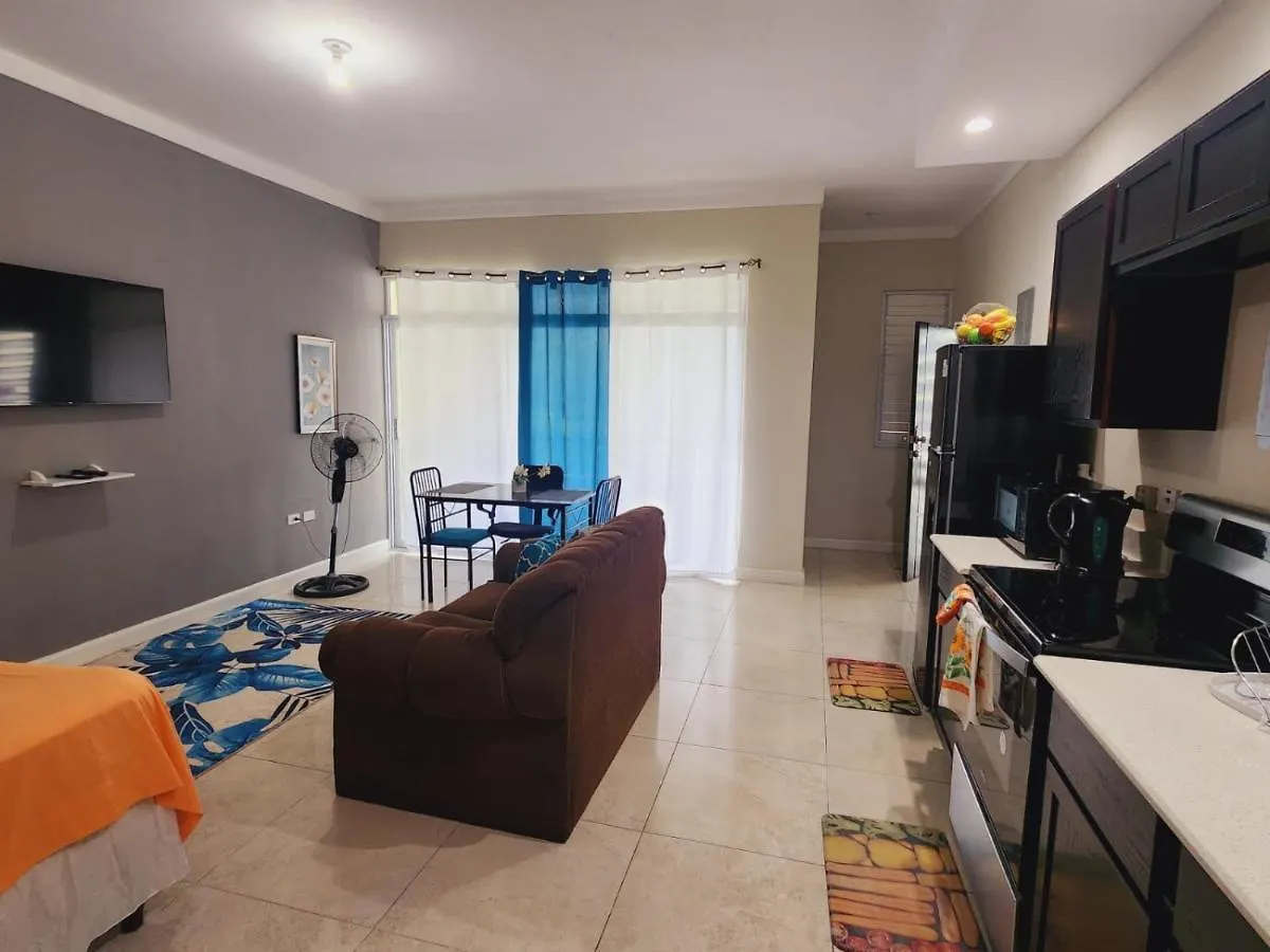 شقة كينغستون Cozy One Bedroom At Perkins